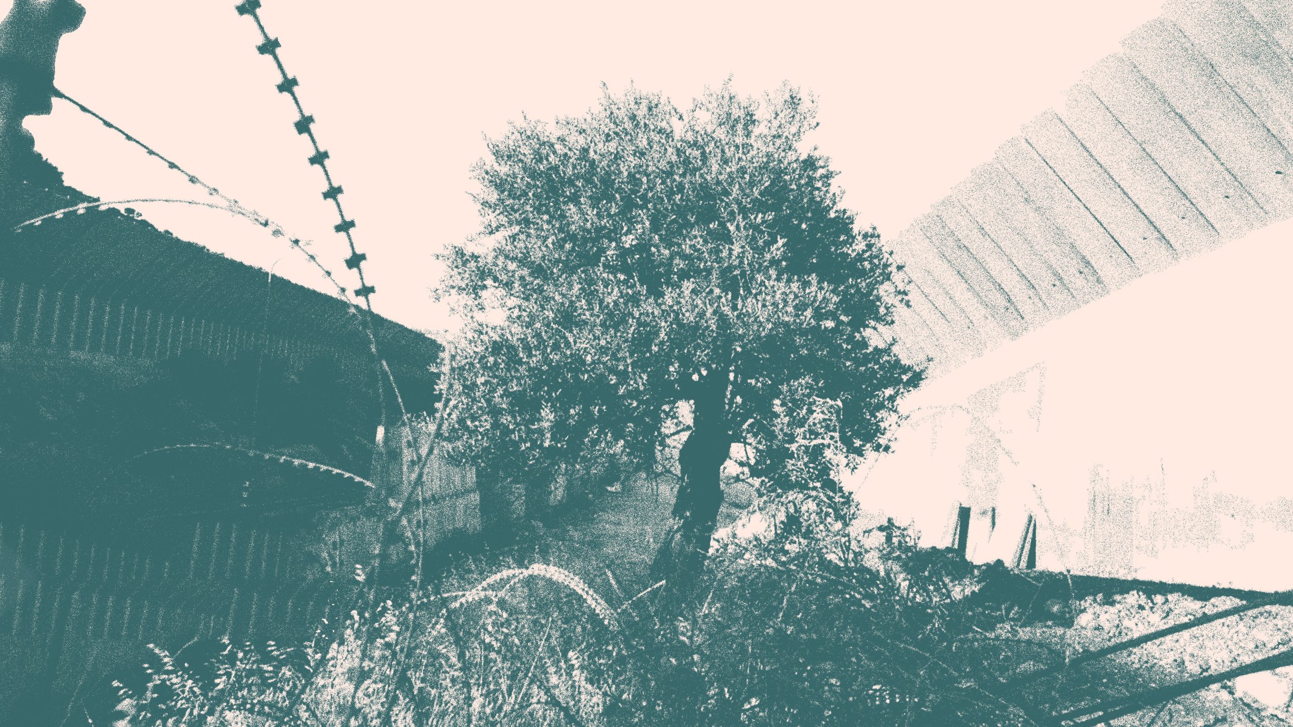 PP_Header_Website Wide - Copy