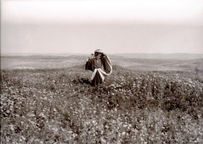 Ein Mädchen in traditioneller Kleidung steht im Frühling in einem Feld mit Wildblumen [1918-35, 121].