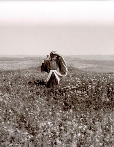 Ein Mädchen in traditioneller Kleidung steht im Frühling in einem Feld mit Wildblumen [1918-35, 121].